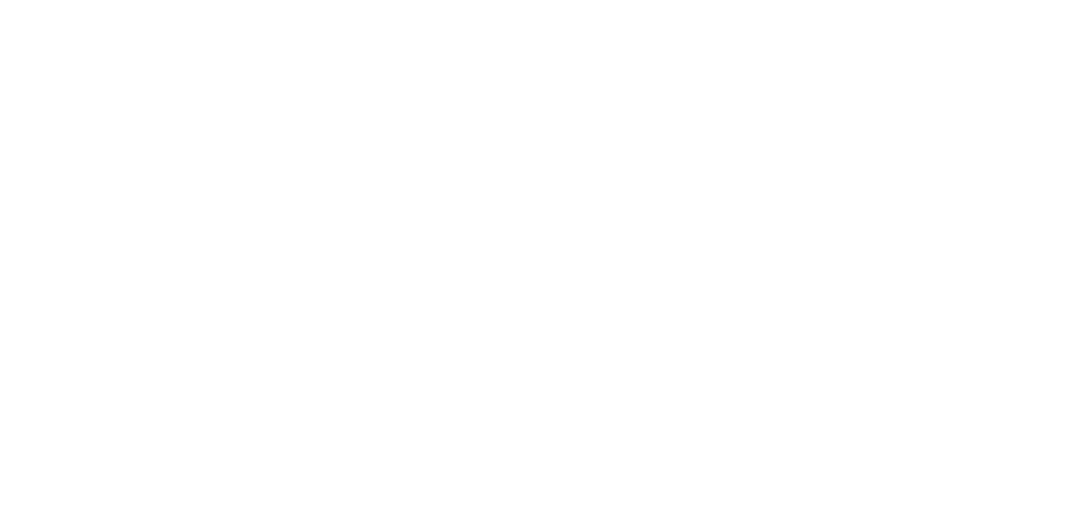 The Novi Experience — From Data to Wellness